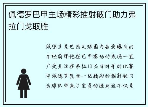 佩德罗巴甲主场精彩推射破门助力弗拉门戈取胜 佩德罗巴甲主场精彩推射破门助力弗拉门戈取胜